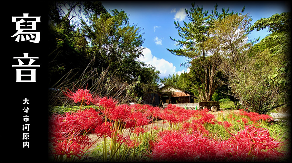 �����F�啪�F�͌���